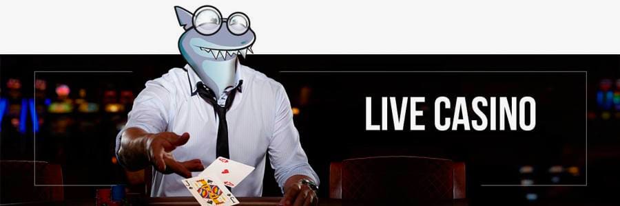 spela live kasino