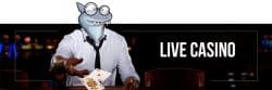 live-kasino