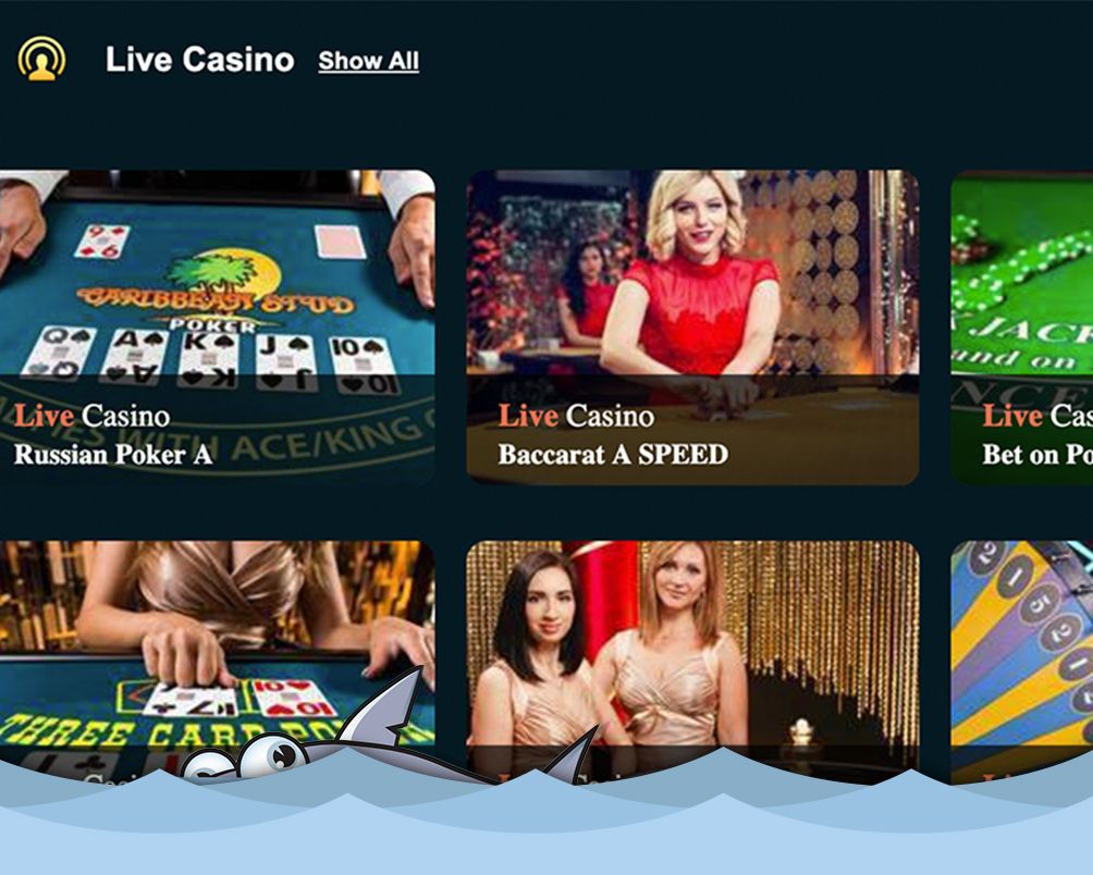 calvin live casino