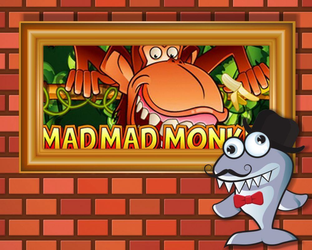 Mad Mad Monkey esittely kasinohai